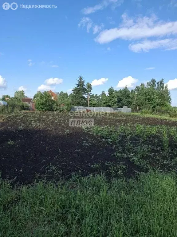 Участок в Таврический район, СНТ Озёрное (12 м) - Фото 1