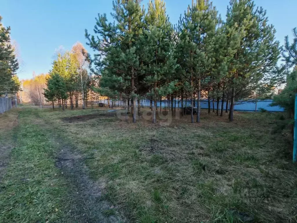 Участок в Тюменская область, Нижнетавдинский муниципальный округ, ... - Фото 1