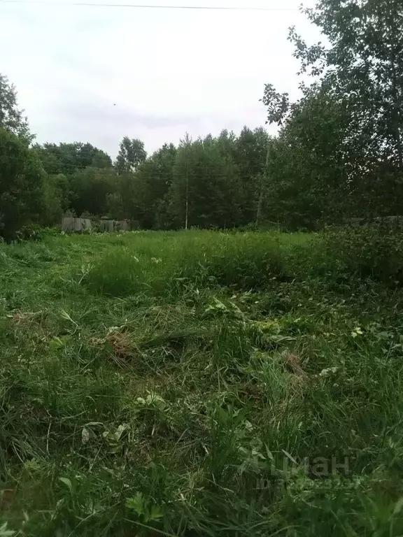 Участок в Московская область, Талдомский городской округ, д. Станки 35 ... - Фото 2