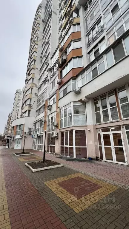 Торговая площадь в Белгородская область, Белгород ул. Победы, 165 (147 ... - Фото 2