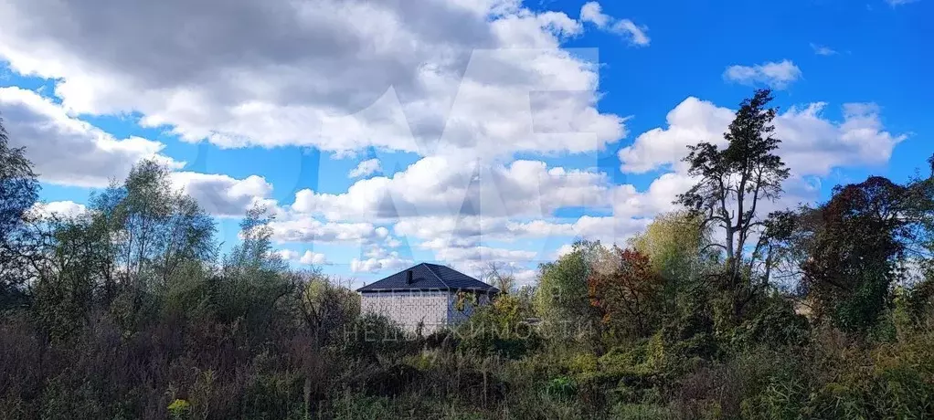 Участок 3,9 сот. (СНТ, ДНП) - Фото 0