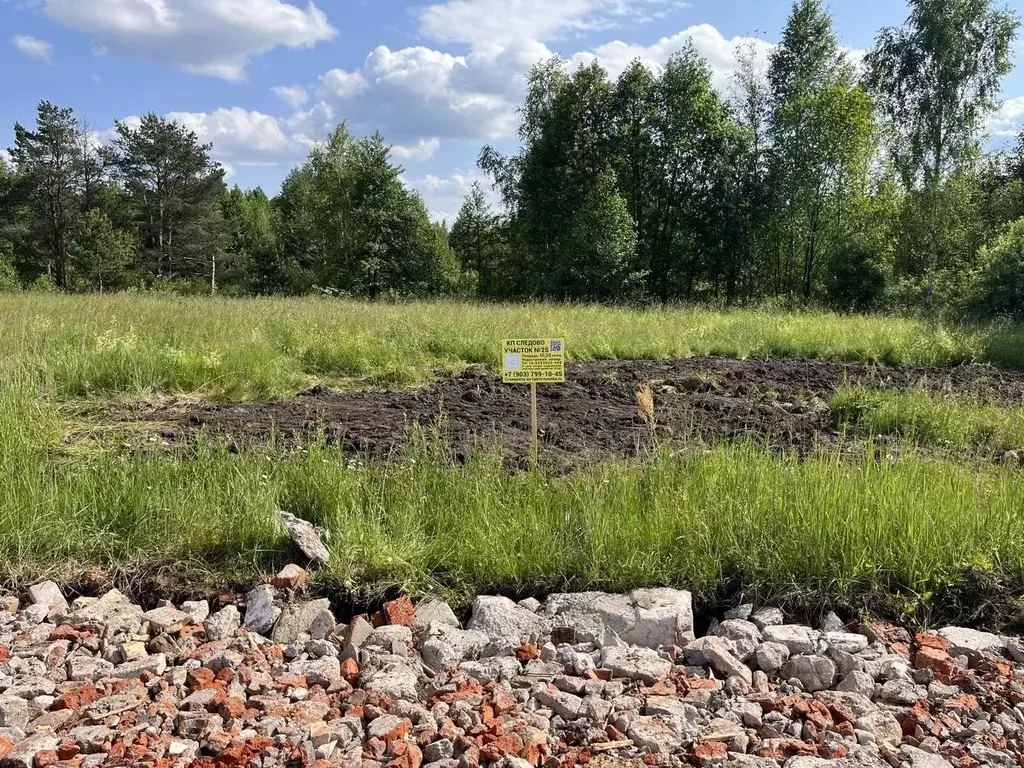 Участок в Московская область, Богородский городской округ, Следово кп ... - Фото 1