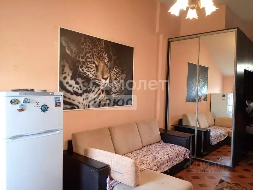 студия московская область, серпухов ул. химиков, 8 (22.0 м) - Фото 1
