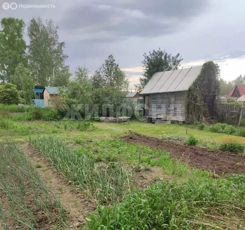 Дом в Новосибирск, СТ Любитель (20 м) - Фото 0