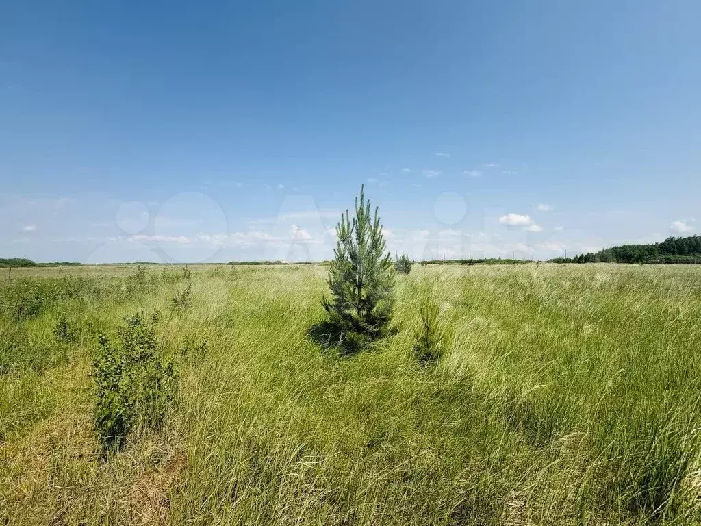 Участок 6,2 сот. (ИЖС) - Фото 0