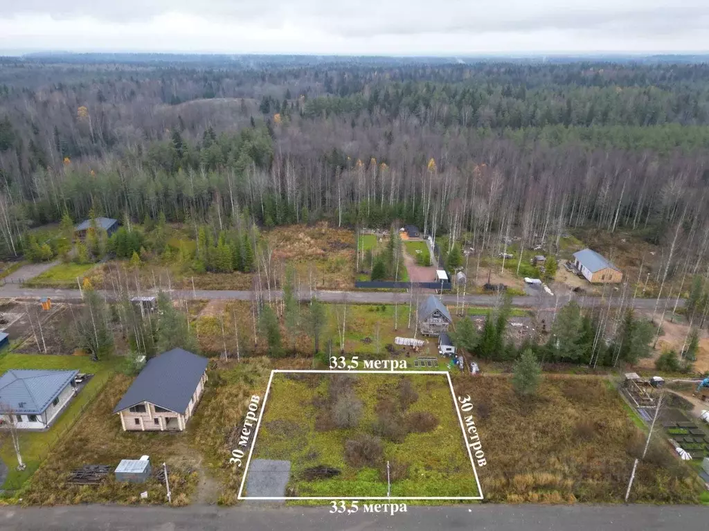 Участок в Ленинградская область, Всеволожский район, Лесколовское ... - Фото 2