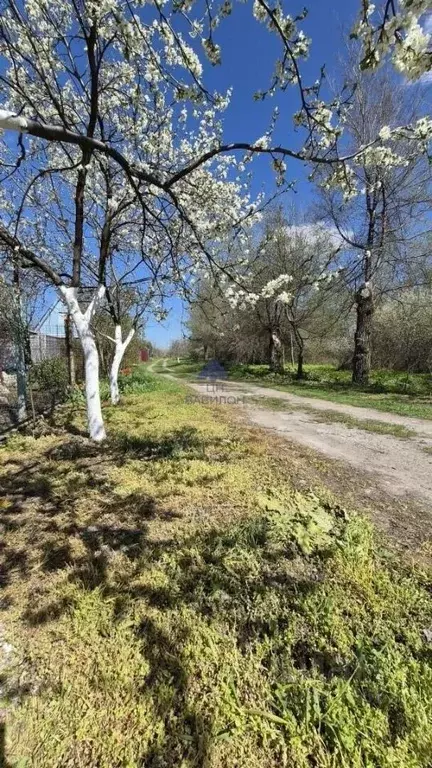 Дом в Ростовская область, Волгодонск Строитель СНТ, 6 массив,  (65 м) - Фото 2