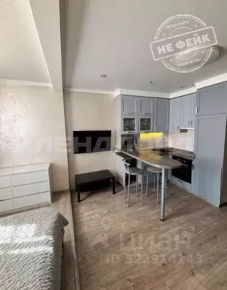 Студия Ростовская область, Ростов-на-Дону пер. Салютина, 2А (27.0 м) - Фото 1