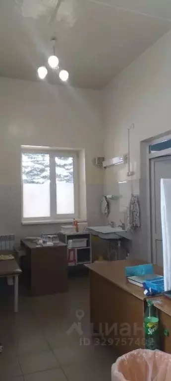 Помещение свободного назначения в Башкортостан, Янаул ул. ... - Фото 1