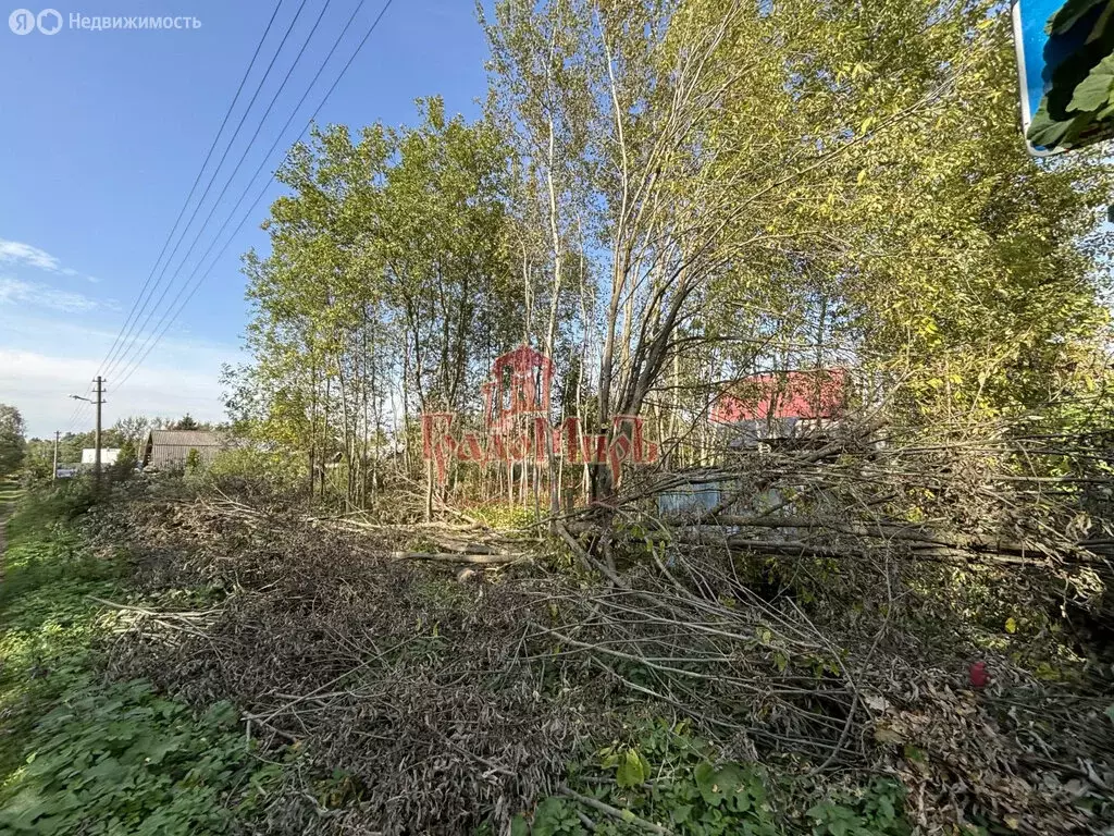 Участок в Московская область, Сергиево-Посадский городской округ, СНТ ... - Фото 1