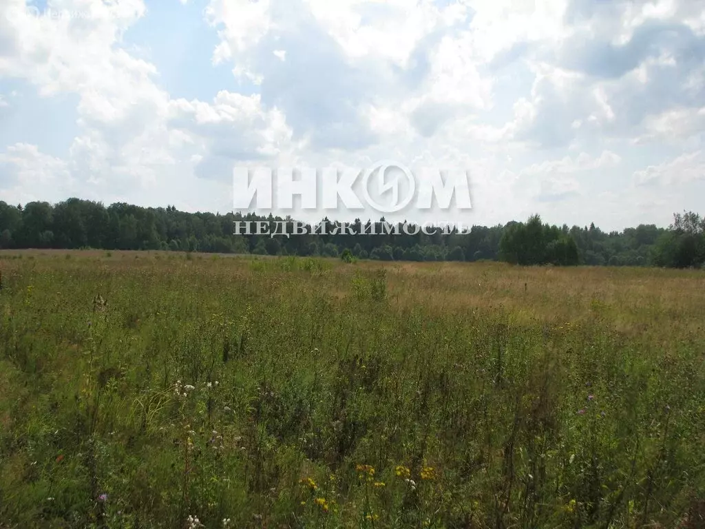 Участок в Московская область, Можайский муниципальный округ, КП ... - Фото 1