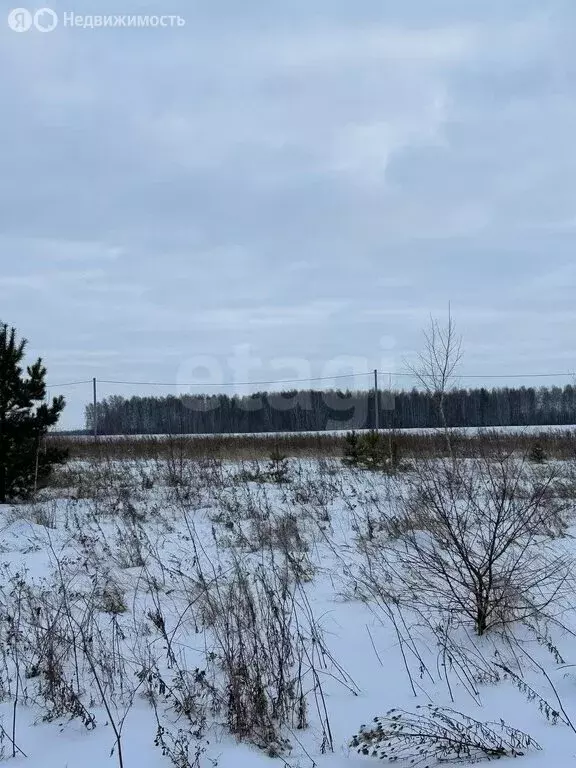 Участок в Курганская область, Кетовский муниципальный округ, ... - Фото 0
