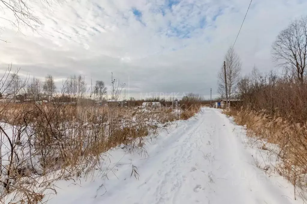 Участок в Тюменская область, Тюмень СОСН Березка-3 тер., ул. 15-я ... - Фото 1