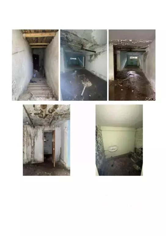 Помещение свободного назначения в Удмуртия, Ижевск ул. Софьи ... - Фото 1