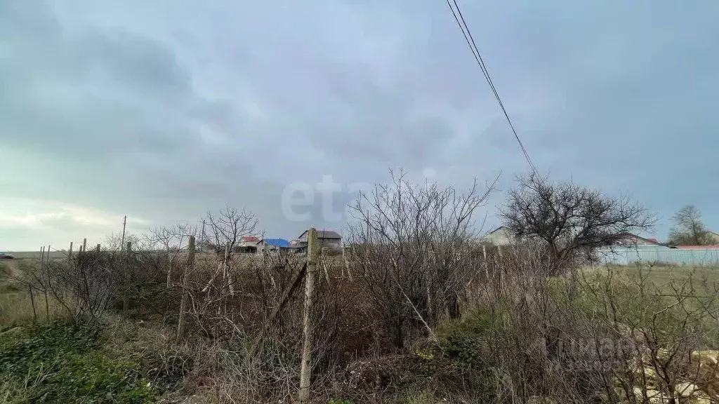 Участок в Крым, Черноморское пгт, Бриз СНТ ул. Каштановая (6.55 сот.) - Фото 1