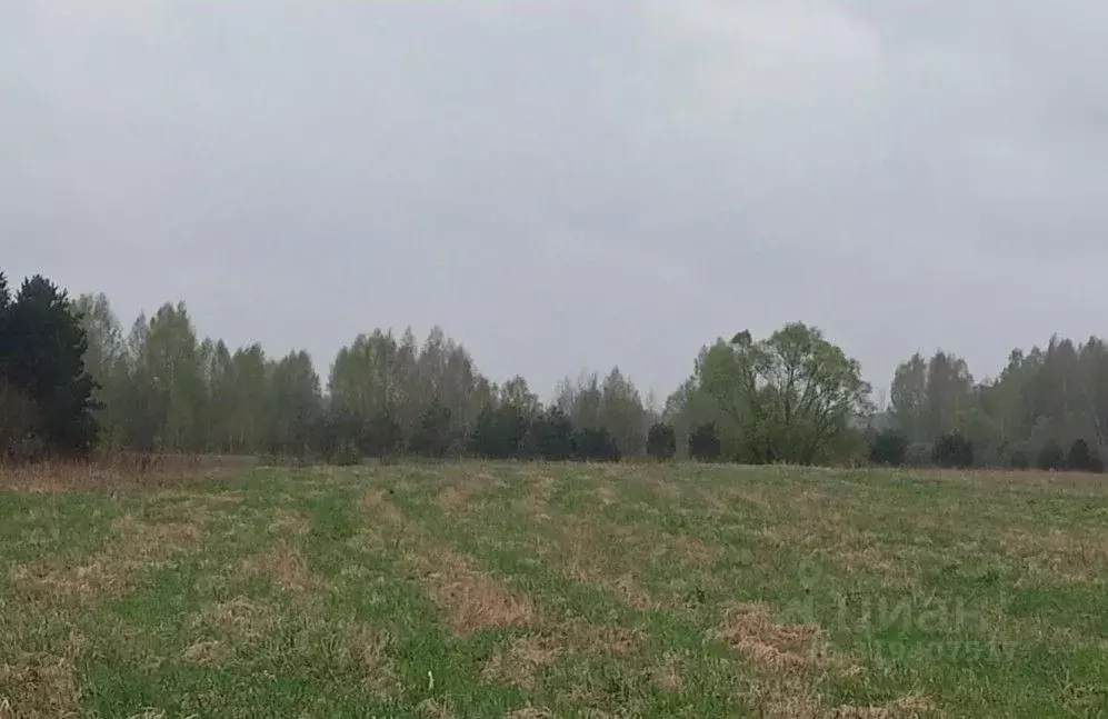 Участок в Московская область, Дмитровский муниципальный округ, д. ... - Фото 0