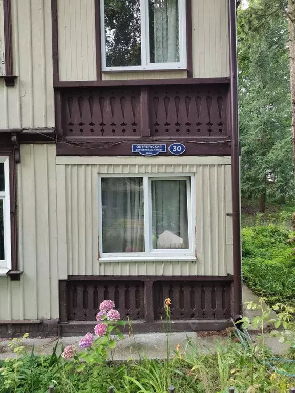 3-к кв. Калининградская область, Светлогорск Октябрьская ул., 30 (55.0 ... - Фото 2