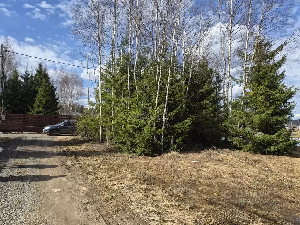 Участок в Московская область, Клин городской округ, Лесная Опушка дп ... - Фото 1