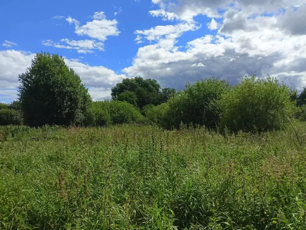 Участок в Ярославская область, Борисоглебский рп ул. Допризывная ... - Фото 1