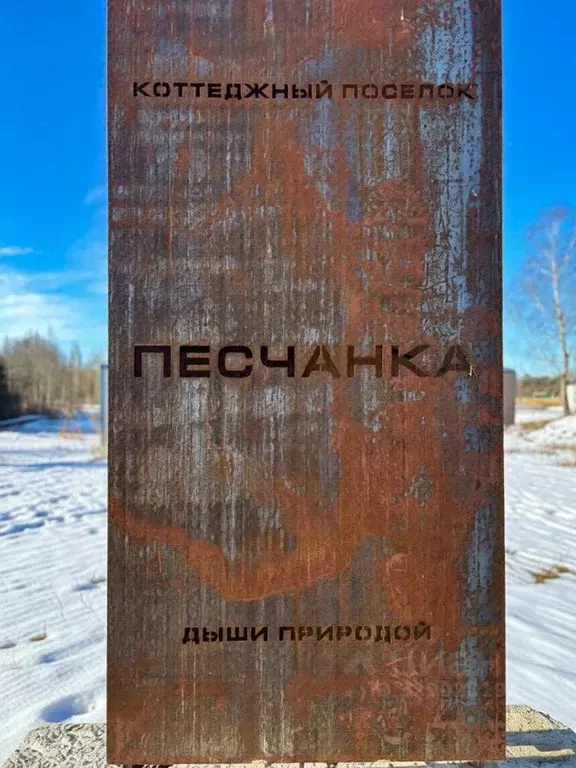 Участок в Псковская область, Псковский муниципальный район, Ядровская ... - Фото 2