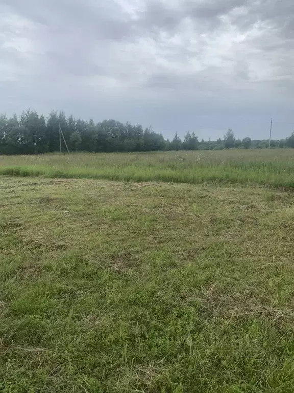 Участок в Калужская область, Перемышльский муниципальный округ, ... - Фото 1