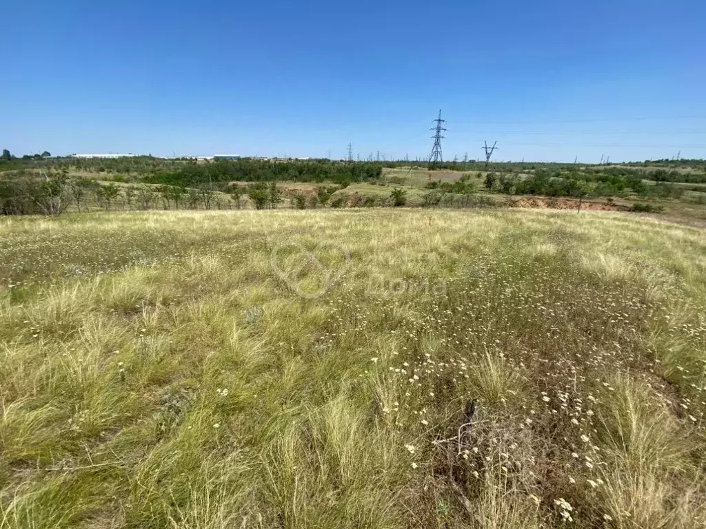 Участок в Волгоградская область, Городищенский район, Царицынское ... - Фото 2