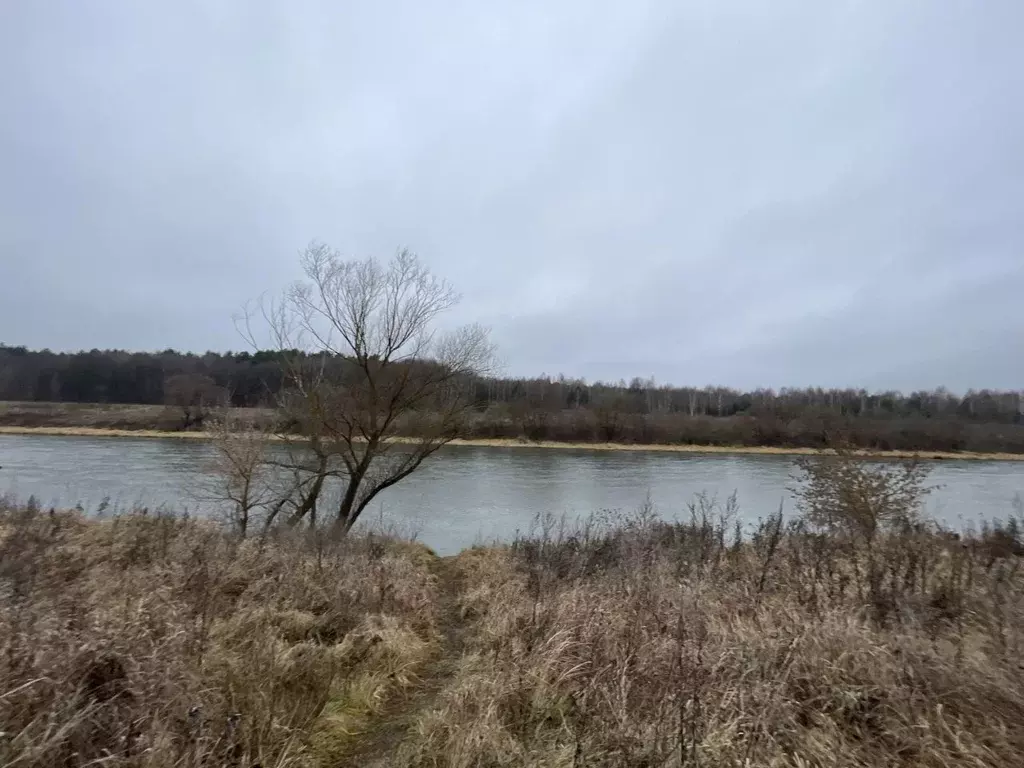 Участок в Тульская область, Суворовский район, Северо-Западное с/пос, ... - Фото 2