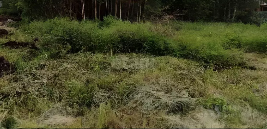 Участок в Оренбургская область, Илекский район, пос. Димитровский  ... - Фото 1