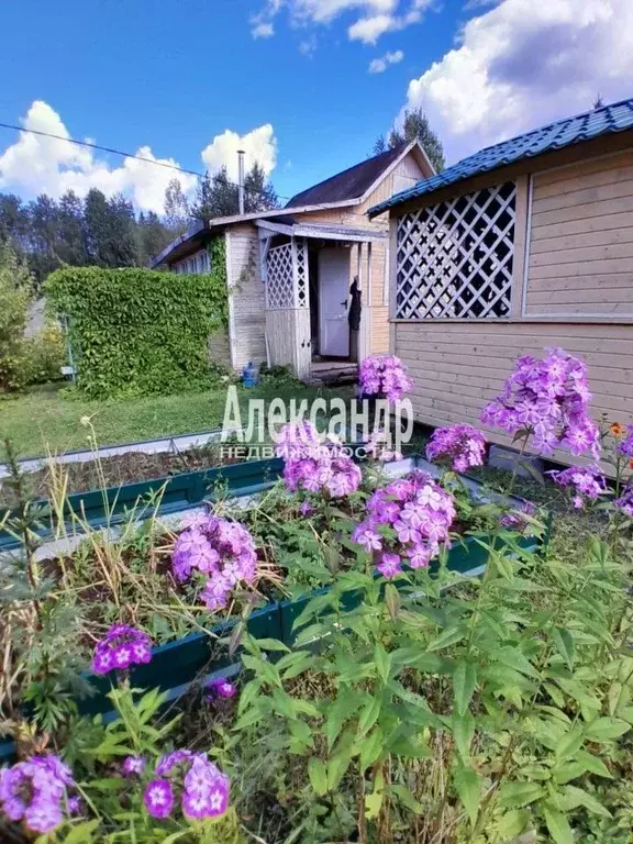 Дом в Ленинградская область, Выборгский район, Гончаровское с/пос, ... - Фото 0