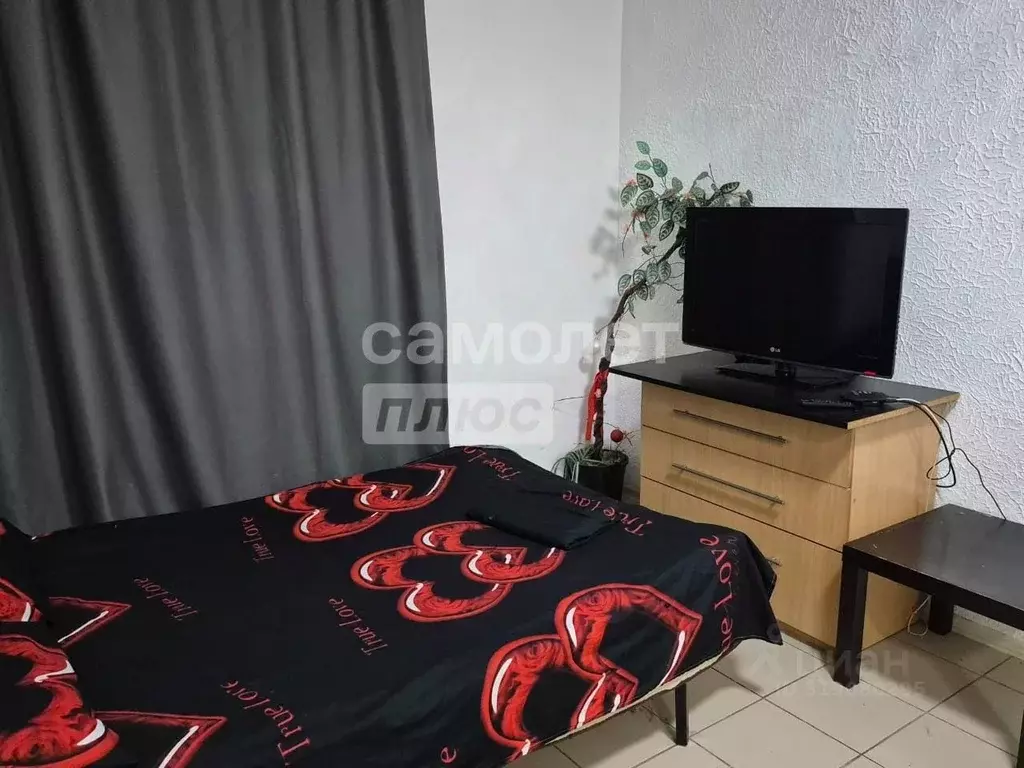 Студия Краснодарский край, Краснодар 1 Мая ул., 344 (20.0 м) - Фото 1