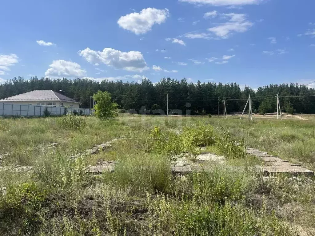 Участок в Воронежская область, Борисоглебский городской округ, с. ... - Фото 0