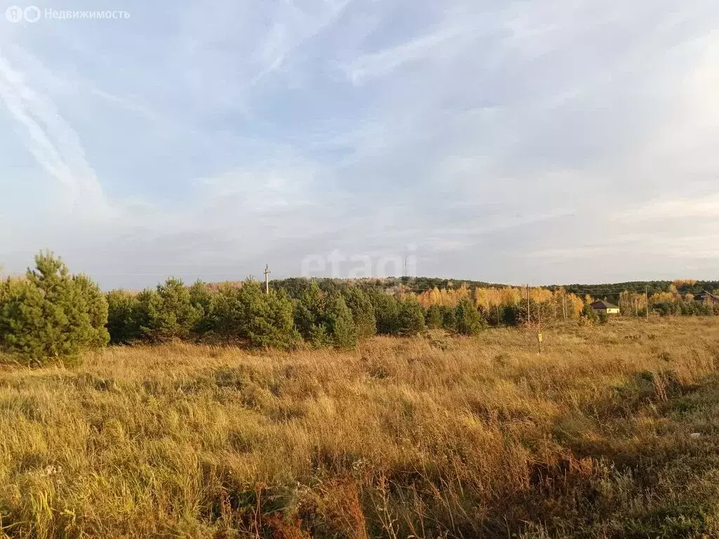 Участок в Ишим, улица Щорса (10 м) - Фото 1