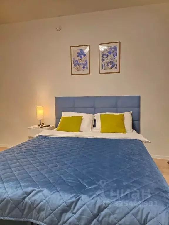 Студия Москва Перовское ш., 2к2 (25.0 м) - Фото 2