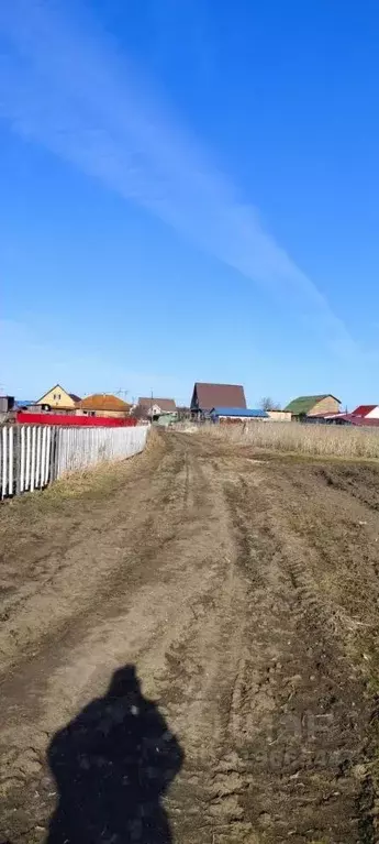 Участок в Тюменская область, Тюменский район, с. Успенка Первомайская ... - Фото 0