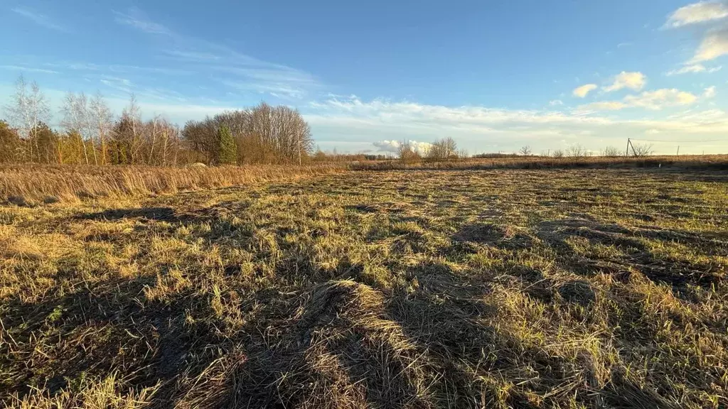 Участок в Тульская область, Тула городской округ, д. Дементеево, ... - Фото 1