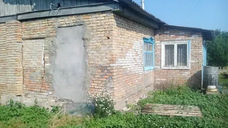 Дом в Пензенская область, Сурск Городищенский район, Белородничная ... - Фото 2