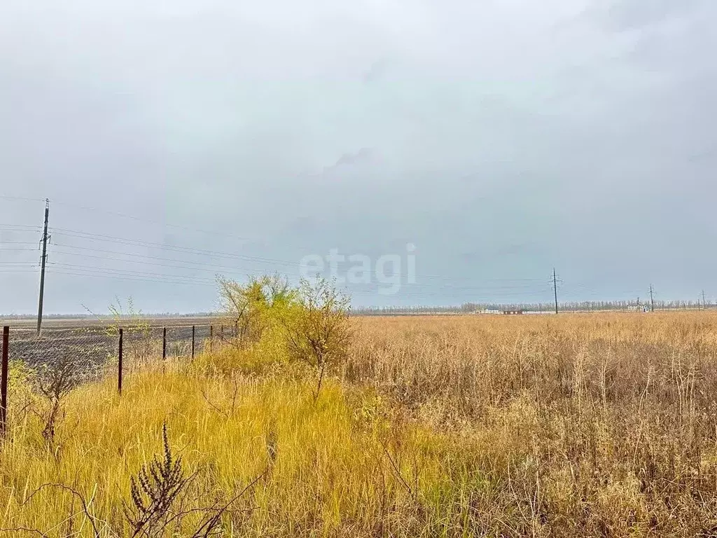 Участок в Воронежская область, с. Новая Усмань, Новая Радуга мкр  (7.3 ... - Фото 1