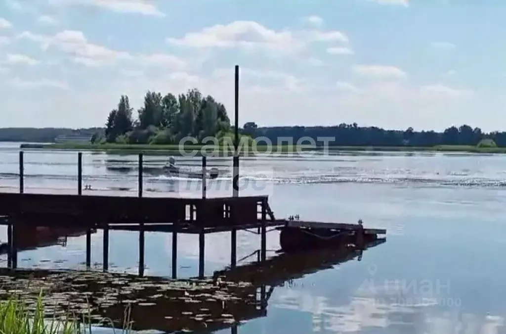 Участок в Костромская область, Красносельский район, Боровиковское ... - Фото 1