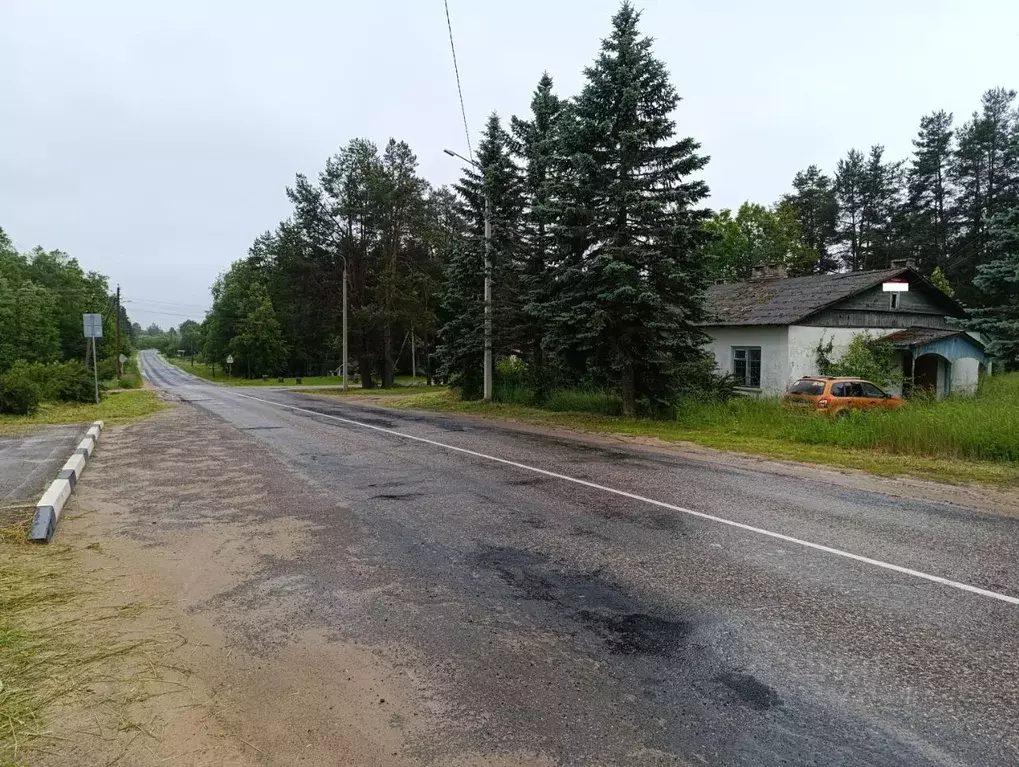 Торговая площадь в Псковская область, Красногородский муниципальный ... - Фото 2