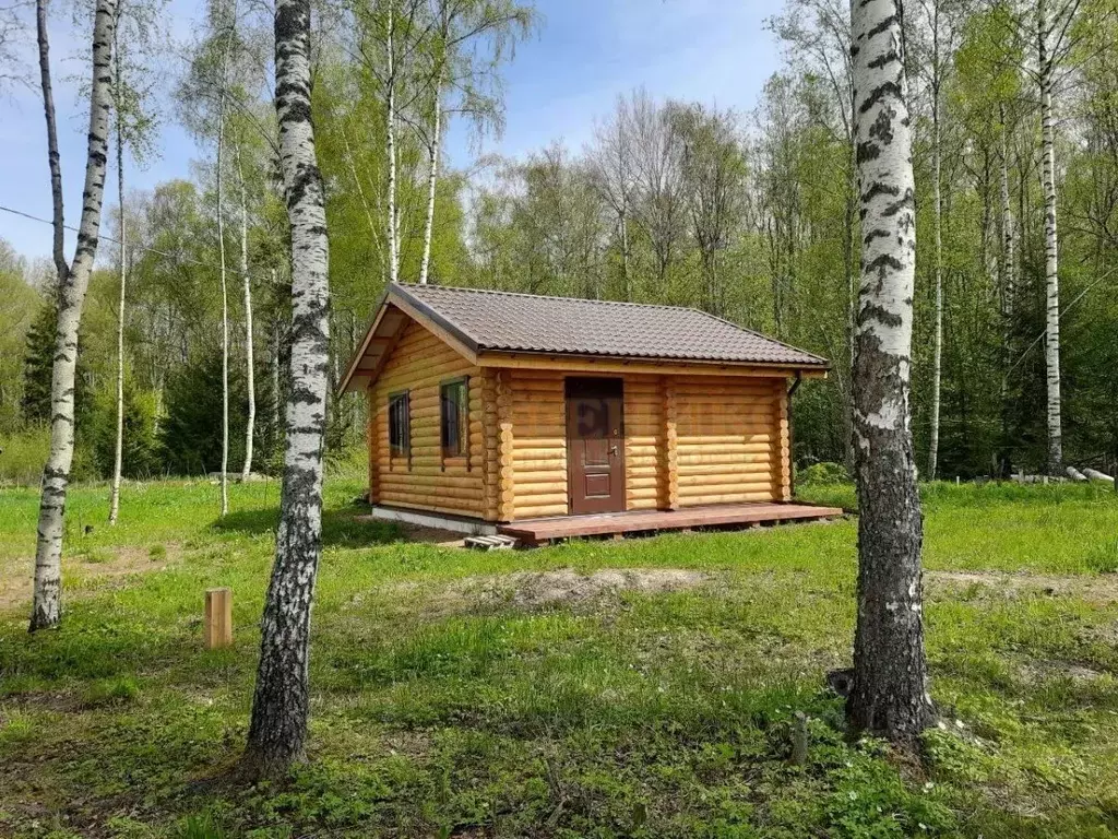 Участок в Ленинградская область, Ломоносовский район, Лопухинское ... - Фото 0