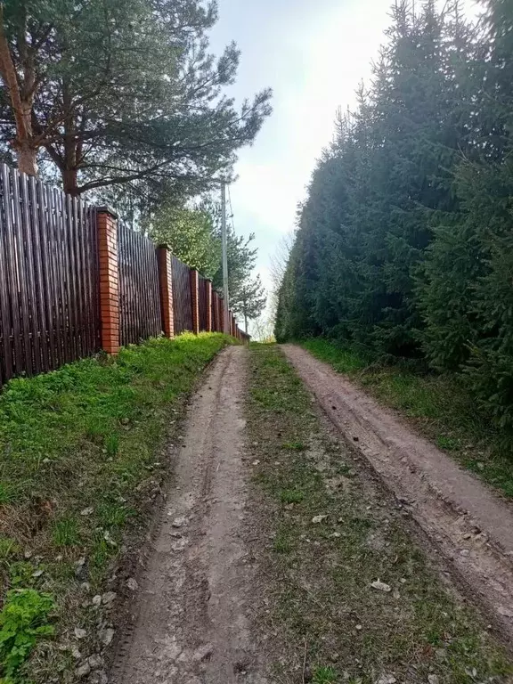 Участок в Ленинградская область, Всеволожский район, Заневское ... - Фото 0