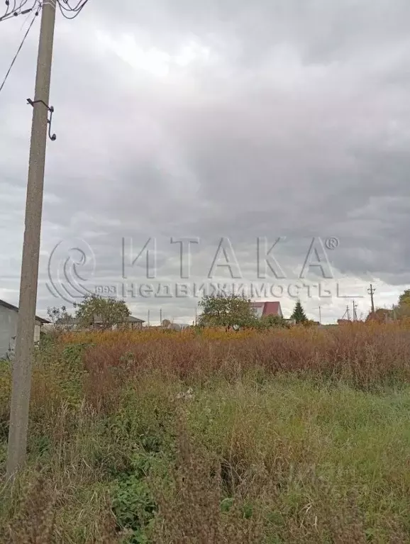 Участок в Ленинградская область, Кингисеппский район, Котельское ... - Фото 1