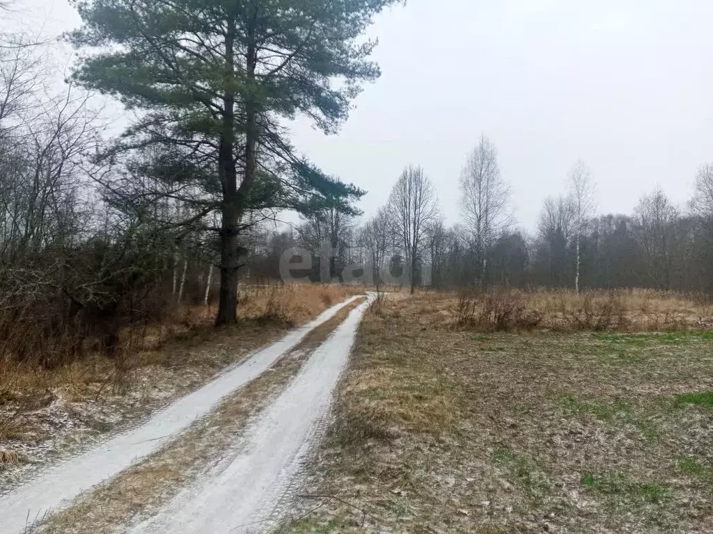Дом в Псковская область, Опочецкий муниципальный округ, д. Роги 1 (42 ... - Фото 1