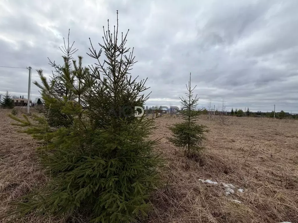 Участок в Кировская область, Киров ул. Афанасьевская (10.0 сот.) - Фото 1