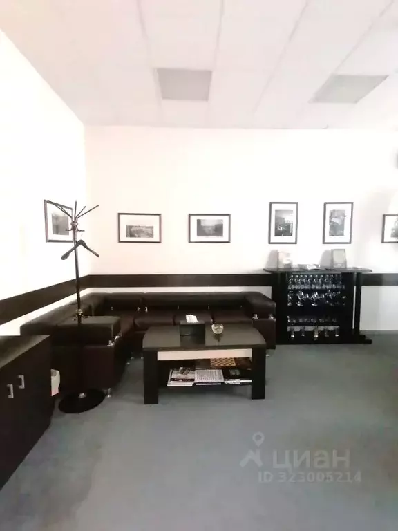 Офис в Москва 2-й Смоленский пер., 1/4 (159 м) - Фото 2