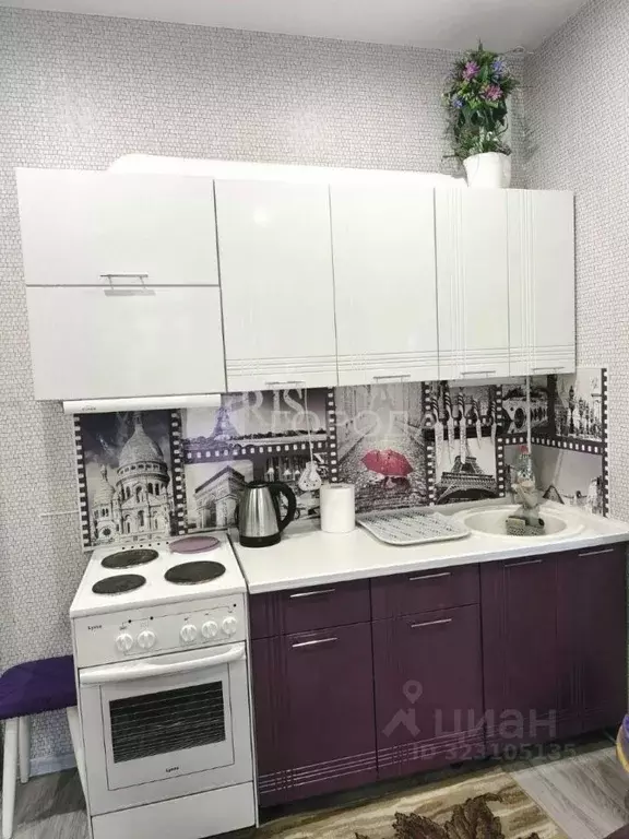 Студия Новосибирская область, Новосибирск 2-я Обская ул., 154 (22.0 м) - Фото 1