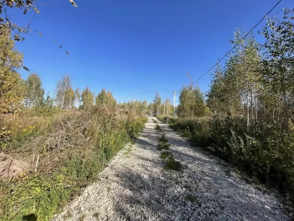 Участок в Тульская область, Тула городской округ, д. Харино ул. ... - Фото 1
