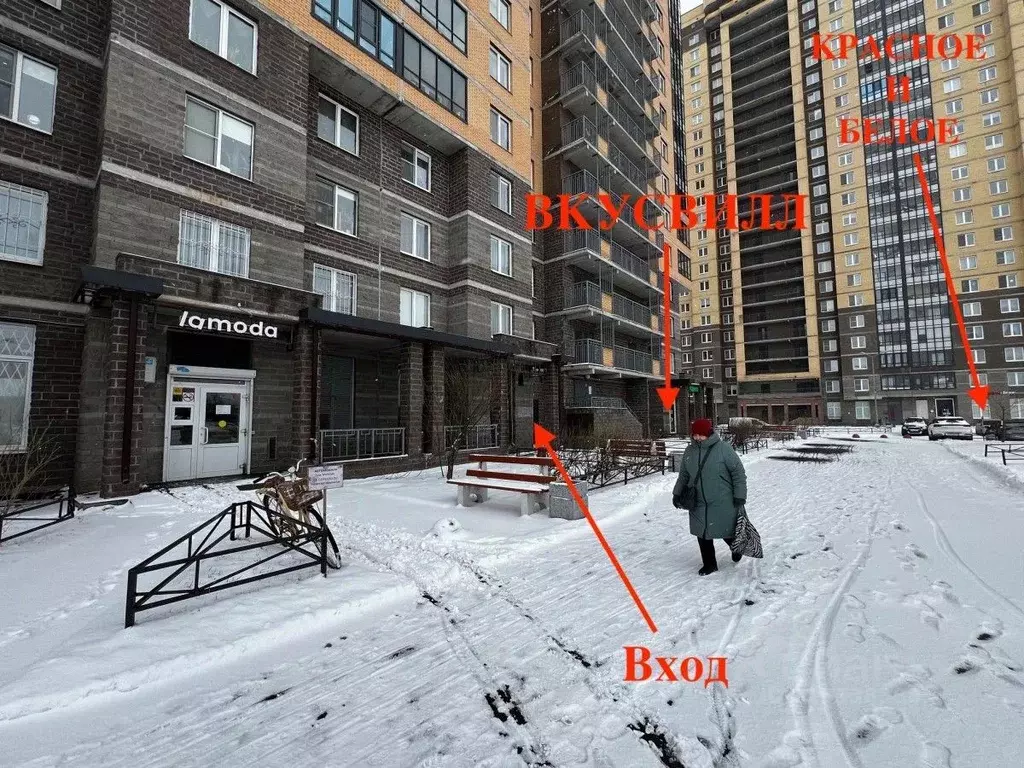 Торговая площадь в Санкт-Петербург пос. Парголово, Заречная ул., ... - Фото 0