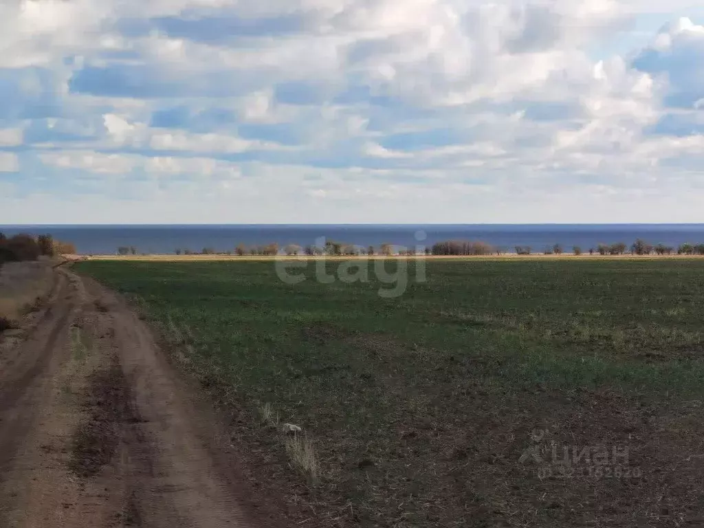 Участок в Крым, Черноморский район, Окуневское с/пос, с. Громово  ... - Фото 1