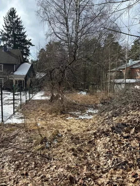 Участок в Санкт-Петербург, Санкт-Петербург, Зеленогорск Приморское ш., ... - Фото 1